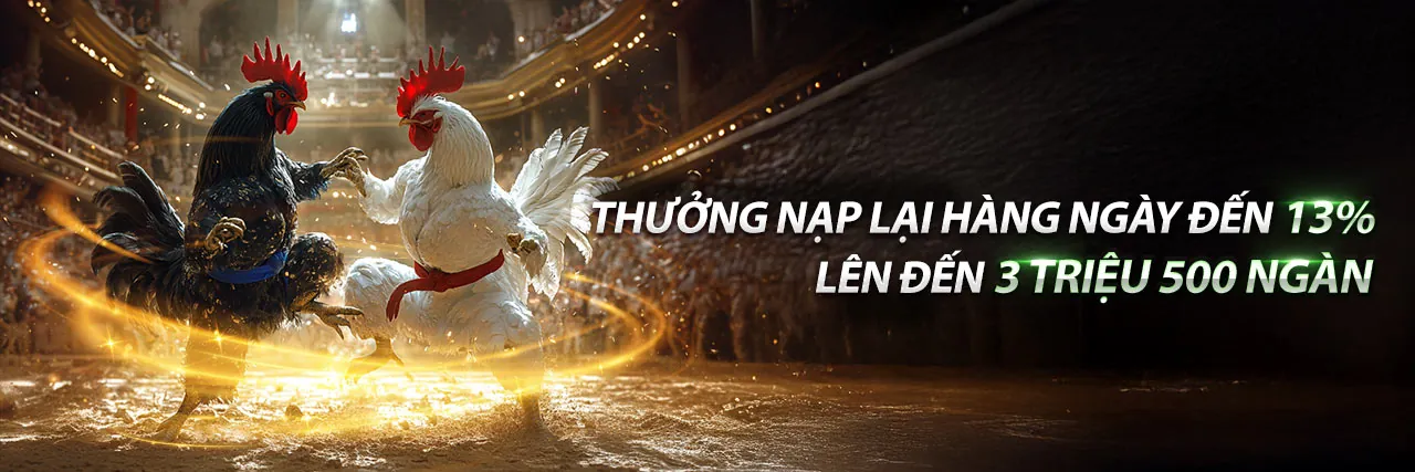 Đá Gà Trực Tuyến 6623galaxy Chính Thức